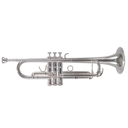 BAC BACTRNYC New York City Intermediate Trumpet